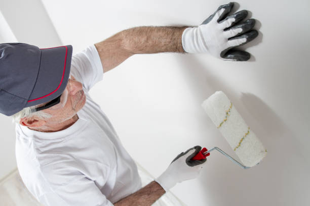  Horicon, WI Mold Removal Pros